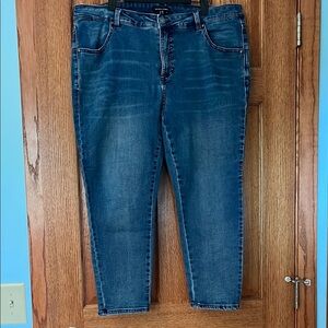 Universal Standard Medium Wash Skinny Leg Denim - 18P